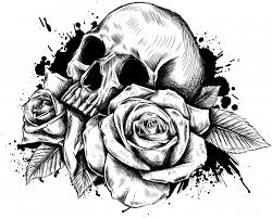 Sono stati fatti tutti rigorosamente con l'ausilio delle matite (h,f,b,hb,2b.), di gomme e temperini. Stampe Artistiche Quadri E Poster Con Bianco E Nero Disegno Fantasy Fiori Floreale Morte Ossa Persone Rose Scheletro Teschio Umano Teschio Con Rose