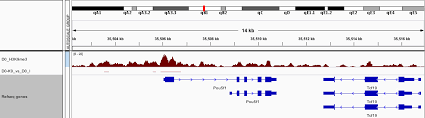 But now my question is related to histone modifications. Appropriate Peak Length Of Chip Seq Histone Modification Having Different Pattern At Gene Body Promoter Intergenic Regions