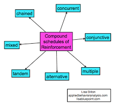 Compound Schedules Of Reinforcement Applied Behavior Analysis Training Behavior Analyst Aba Therapy
