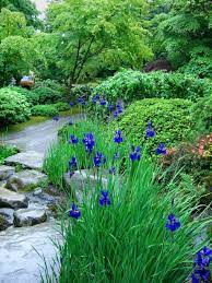 A Photo Assignment Flowers Beautiful Gardens Japanese Garden Seattle Japanese Garden