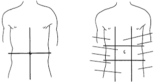 In short, there are four quadrants and nine abdominal regions which provide the point of reference while studying human anatomy. 2 Anatomical Areas Of The Abdomen A Quadrants B Segments Download Scientific Diagram