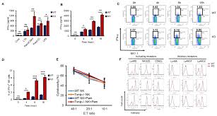 The igg antibody secretory cells (ascs) in small intestine were particularly observed through immumohistochemical staining, then after were analyzed by statistical methods. Ijms Free Full Text Txnip Regulates Natural Killer Cell Mediated Innate Immunity By Inhibiting Ifn G Production During Bacterial Infection Html