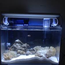 Setelah pengendapan air selesai, silakan pindah ikan ikan tersebut ke air yang baru, lalu kuras akuarium hingga bersih. Akuarium Air Masin Journeyikangym