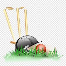 Baseball bat balloon cartoon, baseball bat, angle, sport png. Cricket Bat And Cricket Ball Papua New Guinea National Cricket Team Baseball Bat Cricket Bat Cricket Bat And Cricket Animals Sport Png Pngegg