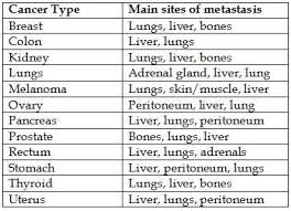 Pin On Cancer Metastasis