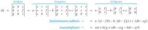 Was kann die determinante über den rang aussagen? Determinante Matheguru