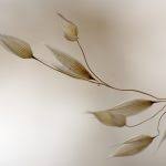 Extraits fluides de plantes fraîches standardisés eps phytoprevent simple ou en mélange dans un flacon teinté de 150, 300, ou 500 ml à 1 litre. Les E P S Extrait De Plantes Fraiches Standardises Pharmacie Herboristerie Lacapelle Biron