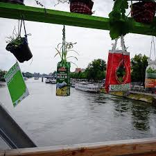 Jetzt Im Blog Carolin Engwert Ist Seit Ein Paar Jahren Vor Allem Leidenschaftliche Gartnerin In Ihrem Gartenblog Hauptstadtgart Urban Garden Instagram Urban