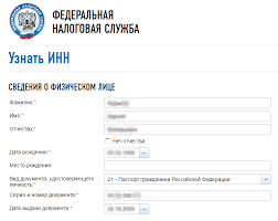 Kak Uznat Svoj Inn Fizicheskogo Lica Po Pasportu Cherez Internet