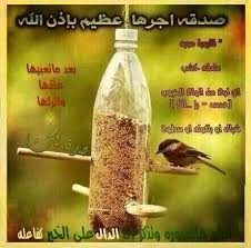 سقـيا المـــــاء للطيور والدواب وكل كبد رطبة