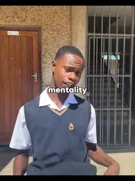 Certfied Kidz: Insights