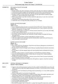 Sample resume for account manager position. Sales Account Manager Resume Samples Velvet Jobs