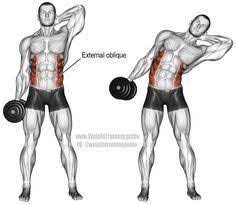 Dumbbell Side Bend Exercise Instructions And Video Weight Training Guide Side Bends Exercise Dumbell Workout Oblique Workout