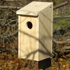 Heartwood Flicker 19 In X 10 In X 8 In Birdhouse Bird House Bird Houses Decorative Bird Houses
