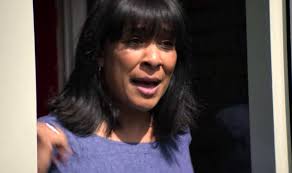 The Stranger plot hole: What happened to Olivia and her mum?