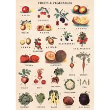 Details About Fruit And Vegetable Chart Vintage Style Poster Decorative Paper Ephemera