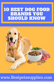 Best Pets Supplies Is Under Construction Dog Food Recipes Best Dog Food Brands Dog Food Brands