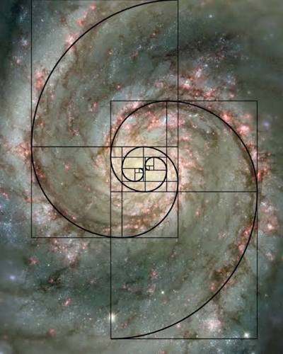  ó    Desde los  caracoles hasta las galaxias: la espiral de Fibonacci se dibuja en el mundo  que nos rodea. En el infinito universo de la matemática, hay fenómenos