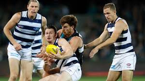 They're both coming off two straight victories and tonight we will see just what each team is made of. Afl Umpires Leave Fans Seeing Red Port Adelaide Vs Geelong Reaction Herald Sun