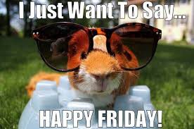 We did not find results for: Funny Good Morning Friday Meme Loveimageswallpaper