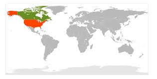 Maps of world current, credible, consistent. File Usa And Canada On World Map Svg Wikimedia Commons