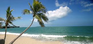 Restaurant, aire de jeux et plage du veillon à 2,5 km. Top 10 Des Villes Avec Plages En Chine Chine Informations