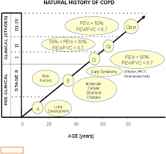 Copd stage 1 is the first, most mild stage of the disease. Early Versus Mild Chronic Obstructive Pulmonary Disease Copd Respiratory Medicine