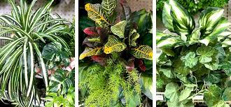 Fake grass decor unless thoroughly inspected, it is very hard to tell the difference between real grass and fake grass. Diy Fake Plant Decor Tutorial Faux Plants Greenery Bloom