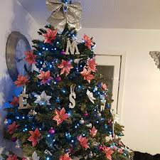 Get the best deal for poinsettia christmas floral décor from the largest online selection at ebay.com. Zabrina 12 Pcs 5 11 In Christmas Tree Decorative Silk Flower Gold Poinsettia Bush And Red Poinsettia Bush Artificial Flowers Red Glitter Poinsettia Christmas Tree Ornaments Pink Pricepulse