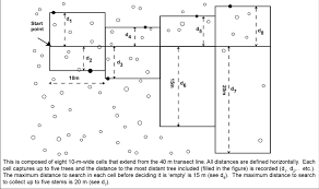 Image result for Pentadesma reyndersii