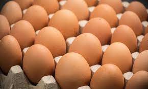 Maybe you would like to learn more about one of these? Telur Infertil Beredar Izin Usaha Budidaya Ayam Petelur Harus Miliki Nkv Portal Agribisnis Indonesia