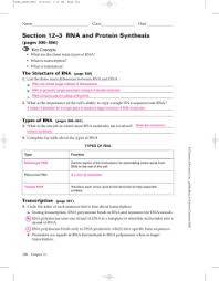 In the rna and protein synthesis gizmo™, you will use both dna and rna to construct a protein out of amino acids. Protein Synthesis Worksheet Answers Quizlet