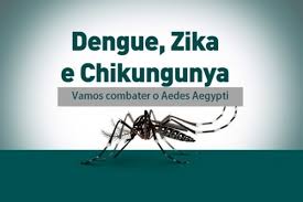 Resultado de imagem para aedes aegypti