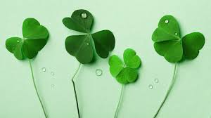 This video walks through the history of st. Is It St Patty Or St Paddy How To Spell For St Patrick S Day Real Simple