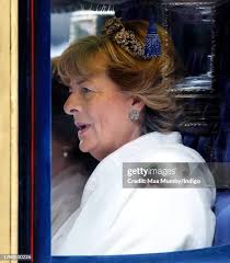 268 Fiona Stone Photos & High Res Pictures