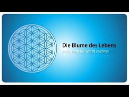 Tutorial Blume Des Lebens Schritt Fur Schritt Zeichnen Blume Des Lebens Blumen Zeichnen Blumen