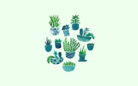 Its shape and color are why these members of succulents are priced aesthetic possessions. Cactus Aesthetic Wallpaper Laptop Novocom Top