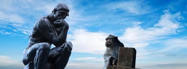 Use our free online english lessons, take quizzes, chat, and find friends and penpals today! Things To Ponder 66 Hilarious Things To Ponder About Laugh Break