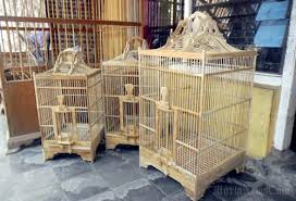 Bagi anda yang menyukai untuk memelihara burung maka sangkar menjadi hal utama dan yang sangat penting, kerena sangkar adalah tempat dimana anda bisa memelihara burung kesayangan anda. Perindah Sangkar Burung Milikmu Dengan Gantungan Sangkar Berikut 2020
