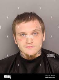 This photo provided by Greenville County Sheriff's Office, shows Logan  Alexander Holmes. Police say an investigation into two brothers for a  killing in South Carolina led to videos of them and others