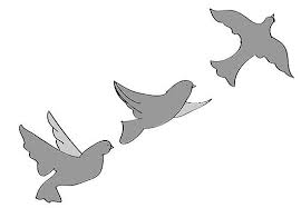 How To Draw Flying Birds 5 Steps Ava S Wall Flying Bird Drawing Bird Drawings Silhouette Drawing