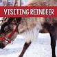 Visiting Reindeer — Bucks Country Gardens event image
