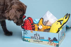Check spelling or type a new query. 23 Best Pet Subscription Boxes For 2021 Dogs Cats Birds And More