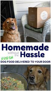 The Farmer S Dog Review Custom Food Delivered Straight To Your Door Make Dog Food Dog Food Recipes Best Dog Food