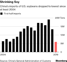 Chinas U S Soy Pork Purchases Slump Amid Year Long Trade