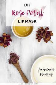 2 Step Diy Plumping Rose Petal Lip Mask For Soft Plump Lips A Life Adjacent Lip Mask Diy Lip Mask Lip Moisturizer