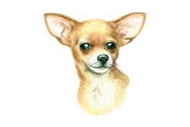 Download Chihuahua Di 2020 SVG Cut Files