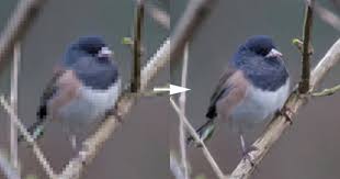 Check spelling or type a new query. How To Resize An Image The Art Of Marketing