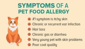 Whether you're trying to lower your cholesterol or you're trying to prevent it from rising, there are certain foods that you can eat that will help move the process along. Pet Food Allergies And Intolerances Steves Real Food