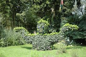 Marrakesch anima der para sische garten des andré, 109 best natura sul lago di garda nature on lake garda Gardone Riviera Exotische Pflanzen Gardasee